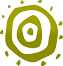 seonative SEO Analyses