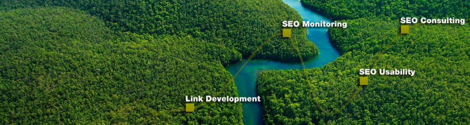seonative SEO Services About Us