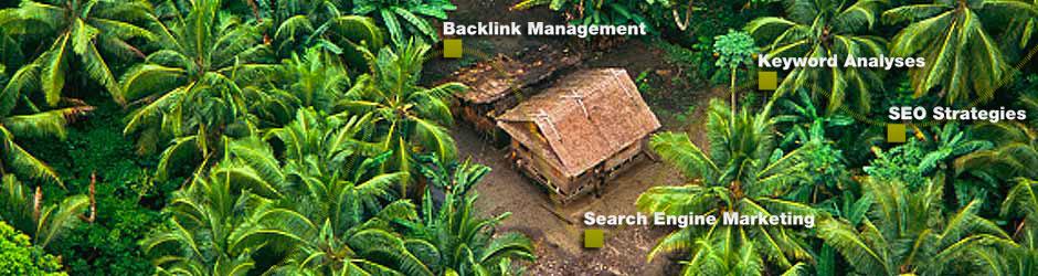 seonative SEO Services Contact