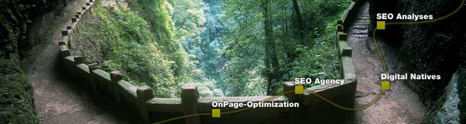 seonative SEO agency