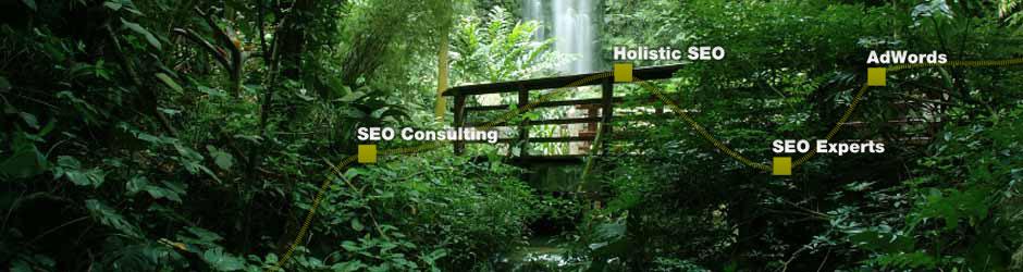 seonative SEO agency